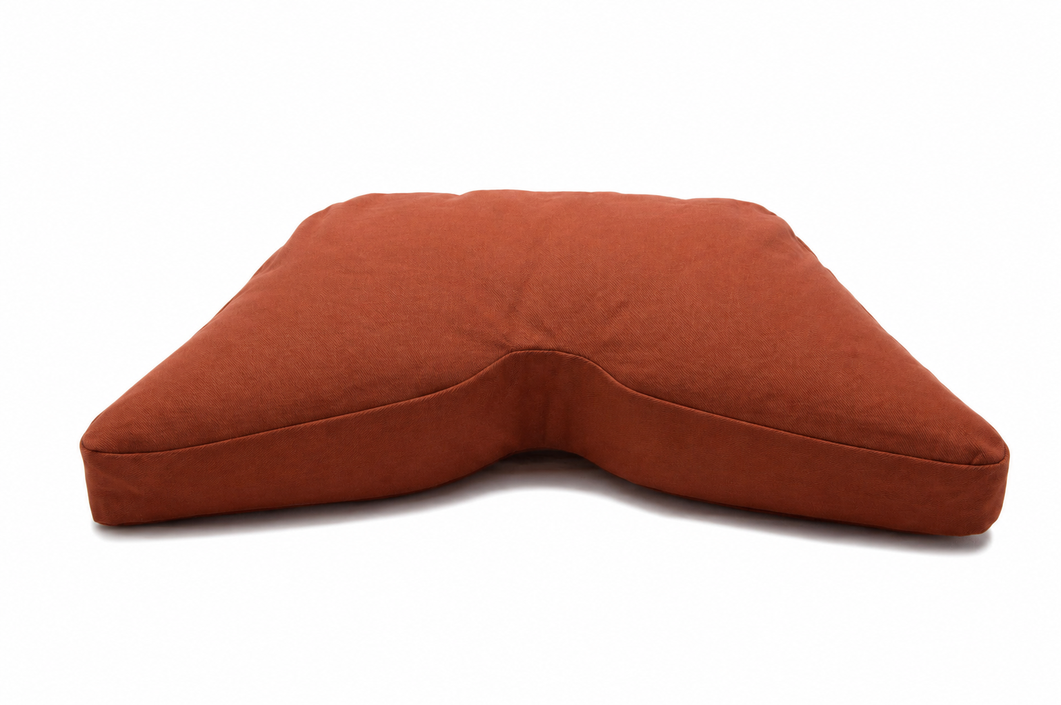 Regular Lift Cinnamon Cosmic Cushion